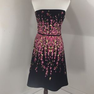 Ann Taylor Loft Petites Cotton Dress